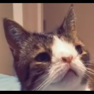 Meet your Posher, Emma